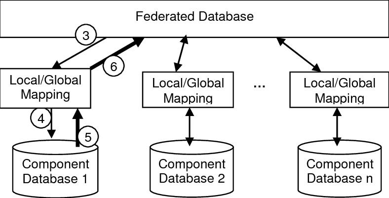 A diagram of a federated database.